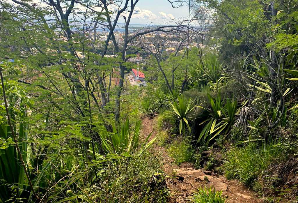 Et aussi, dans le&nbsp;Nord…