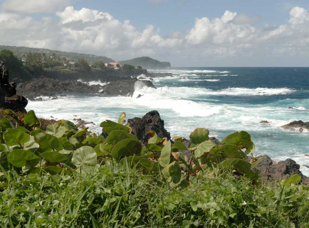 Et aussi, dans le&nbsp;Sud
