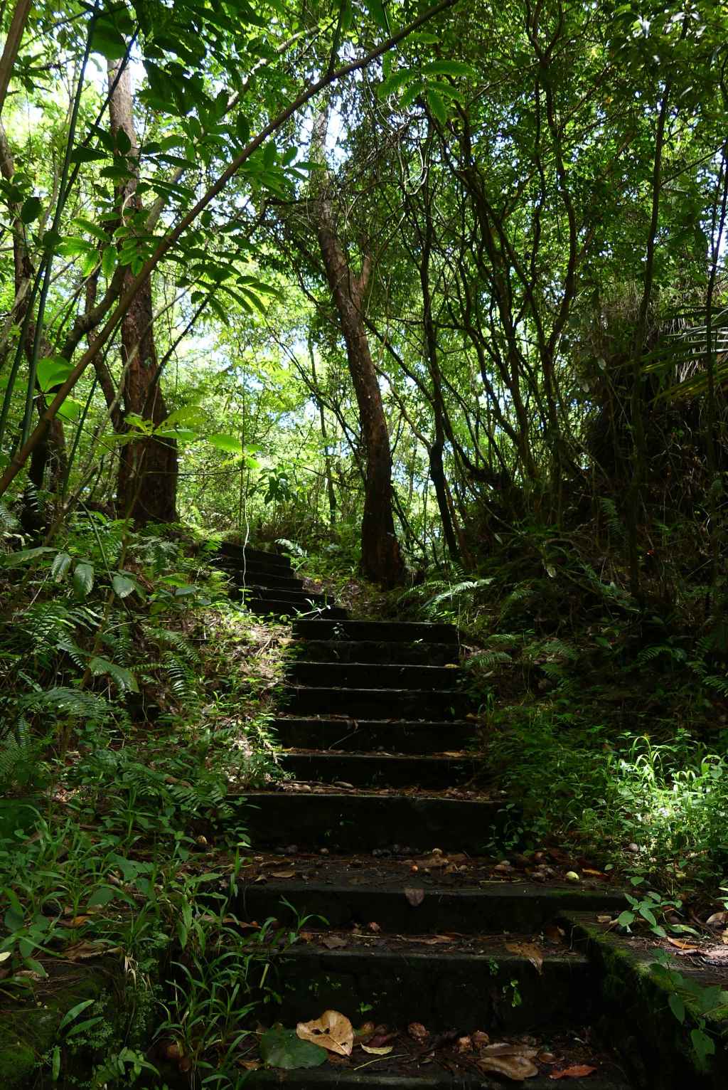 Et aussi, dans le Sud&nbsp;Sauvage